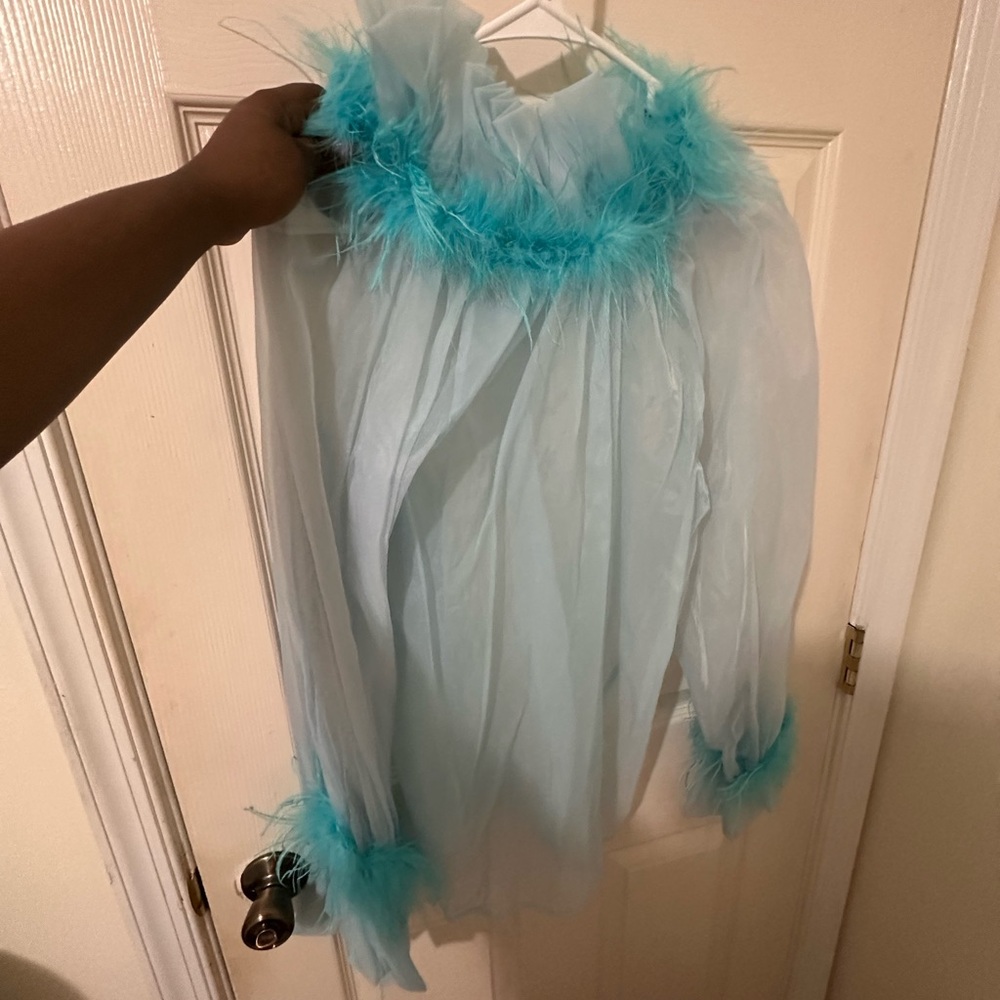 Sheer Blue Feather Trim Top